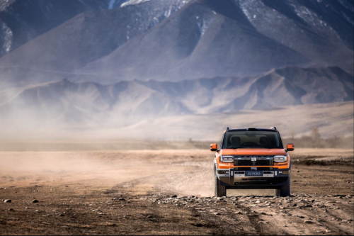 纵横携手新华社发起可可西里保护行动，赋能高原生态发展